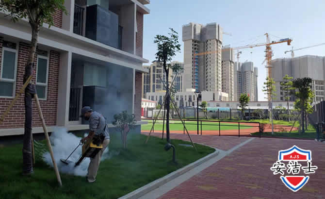 松阳工厂工地除白蚁