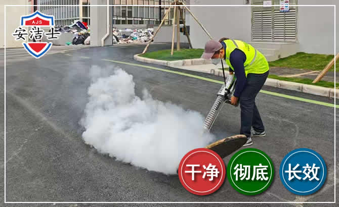 松阳消杀防疫现场