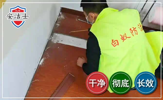 松阳除四害现场