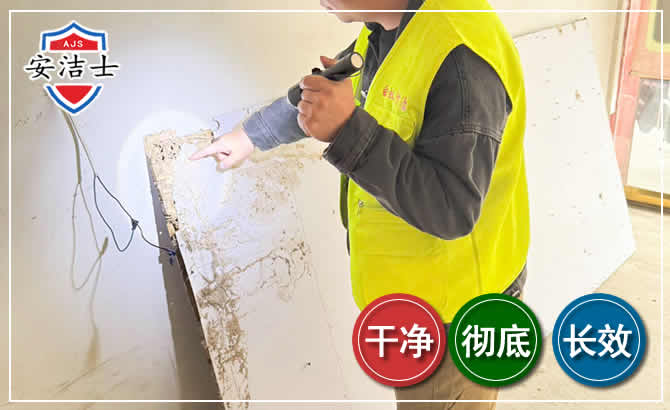 松阳除白蚁现场