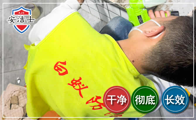 松阳白蚁根治现场